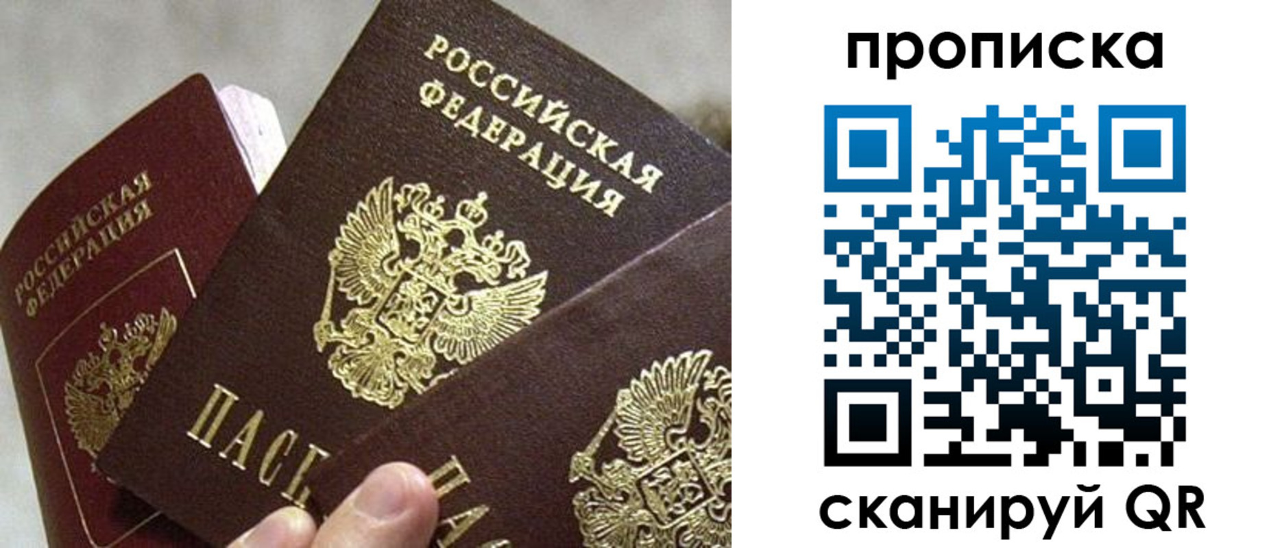 прописка 2025 в Зеленогорске